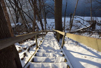 Snow covered steps by bare trees against sky