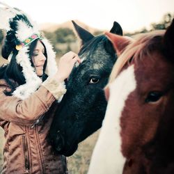 Close-up portrait of horse