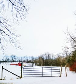 Bare trees against sky during winter