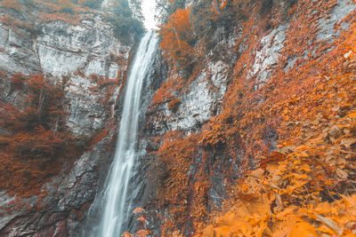 Scenic view of waterfall in forest during autumn