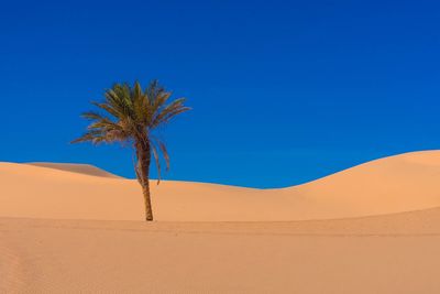 Scenic view of desert against clear blue sky