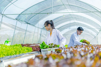 Woman working in greenhouse