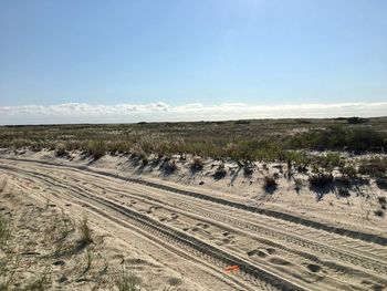 Scenic view of agricultural field against blue sky