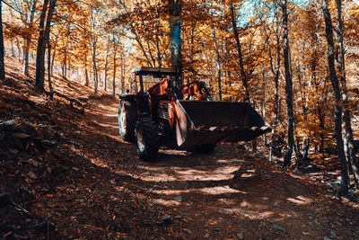 Men in forest during autumn