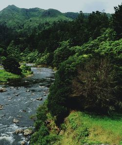 Scenic view of landscape