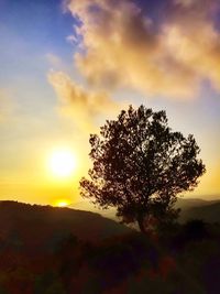 Scenic view of landscape at sunset