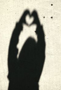 Shadow of man on wall