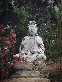 View of plants in park