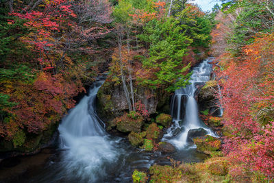 Waterfall in forest