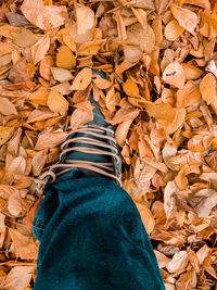 Low section of person standing on autumn leaves