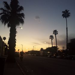 Road at sunset