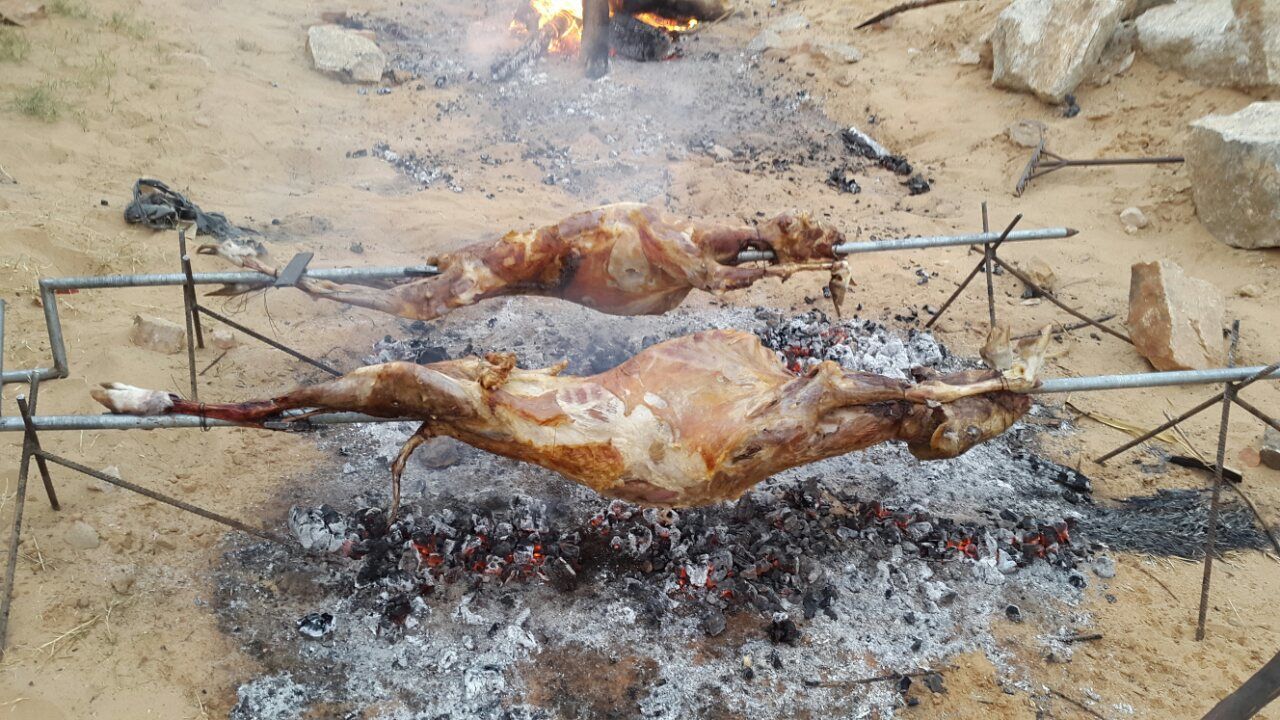 high angle view, heat - temperature, day, no people, messy, firewood, outdoors, dry, environmental issues, flame, dirty, burning, wood - material, dirt, sunlight, log, fire - natural phenomenon, close-up, preparation, dead animal