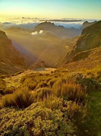 Scenic view of landscape against sky