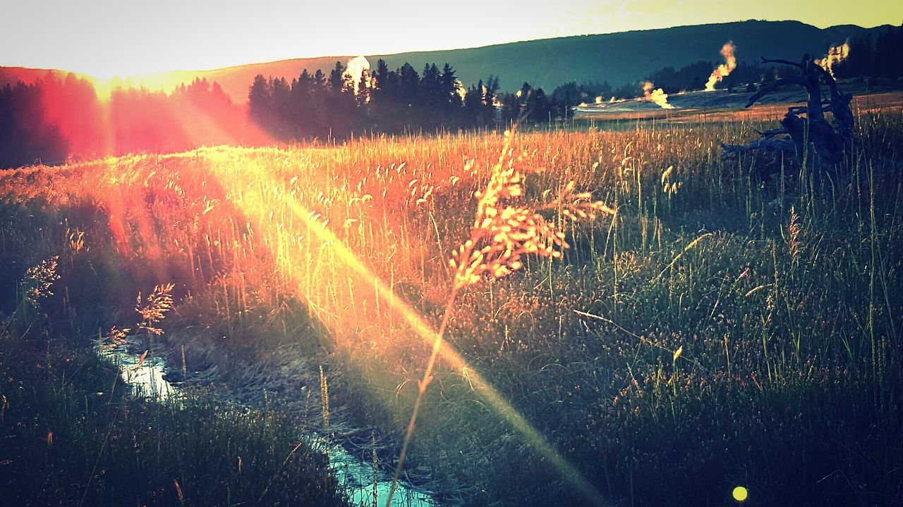 sunbeam, sun, lens flare, landscape, nature, field, scenics, beauty in nature, tranquil scene, sunlight, tranquility, sunset, grass, mountain, plant, outdoors, idyllic, no people, sky, rural scene