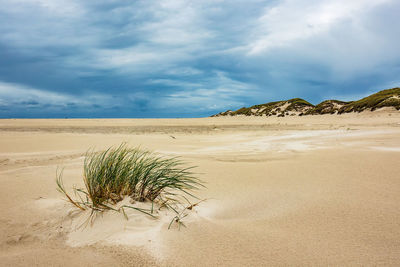 Scenic view of sand on beach against sky