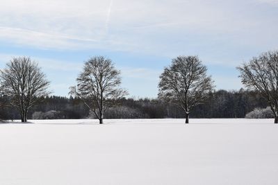 Trees on snow covered field against sky