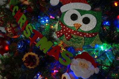 Close-up of illuminated christmas tree at night