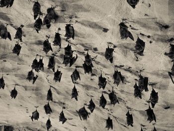 High angle view of people on beach