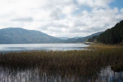 Scenic view of lake against sky