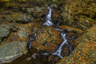 View of waterfall in forest