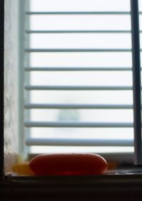 Close up of plant against blurred background