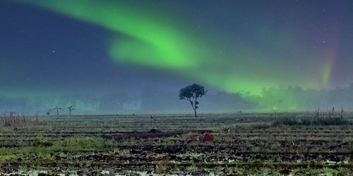 Scenic view of field against sky at night