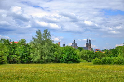 Trees on field against cloudy sky