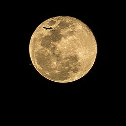 Low angle view of moon against clear sky at night