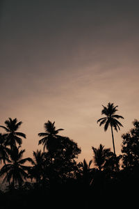 Silhouette palm trees against sky during sunset