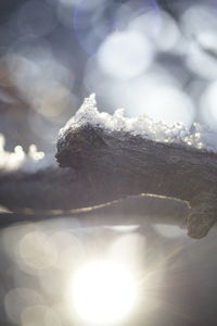 Close-up of snow against sky