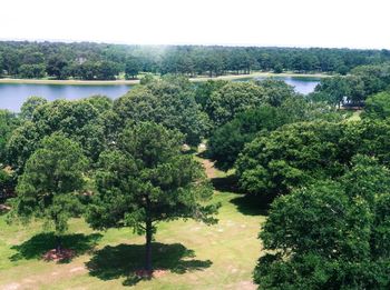 Scenic view of river with trees in background