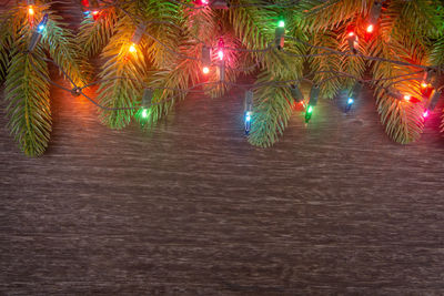 Illuminated christmas tree at night