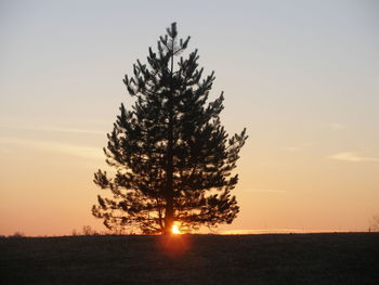 Scenic view of landscape at sunset