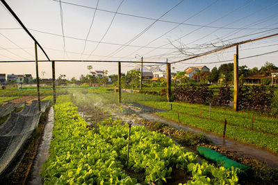 Scenic view of farm against clear sky