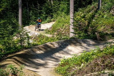 Rear view of man riding bicycle on plants