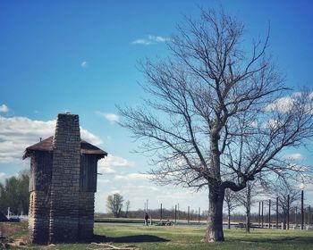 Bare tree in field against sky