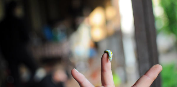 Close-up of caterpillar on finger