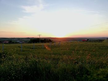 Scenic view of field against sky during sunset