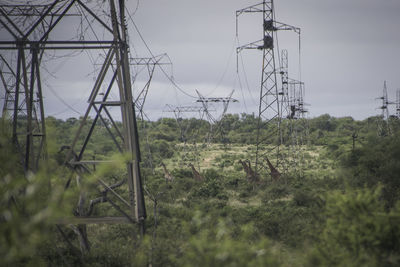 Electricity pylon on field against sky