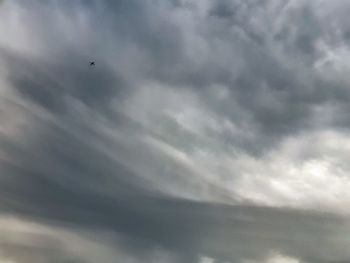 Low angle view of bird flying in sky