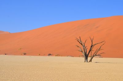 Scenic view of desert against clear blue sky