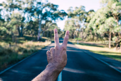 Cropped hand gesturing on road