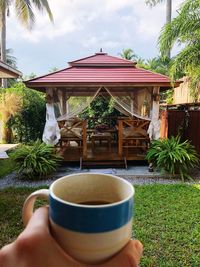 Midsection of person holding drink against plants