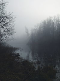 Scenic view of lake in forest against sky