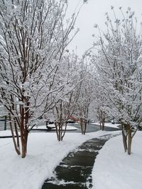 Bare trees on snow covered landscape