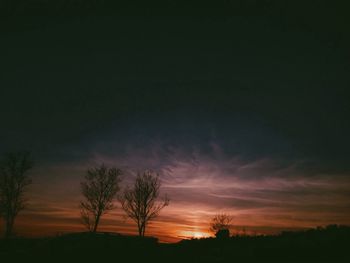 Silhouette of trees at sunset