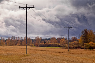 Telephone lines under the autumn skies
