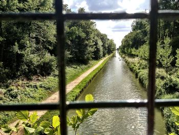 Scenic view of trees by river