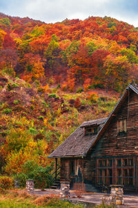 Trees by house on mountain during autumn