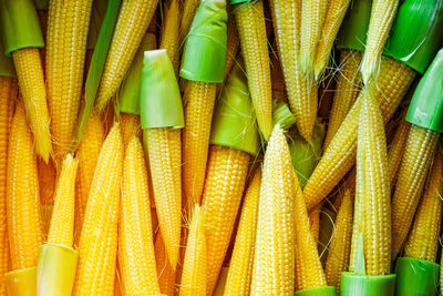 Full frame shot of vegetables for sale at market stall